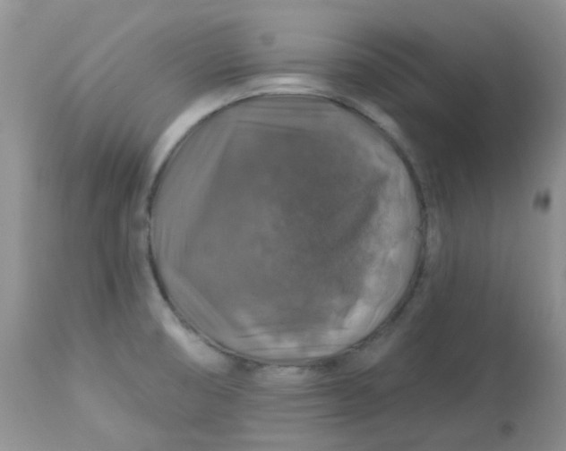 X0000113571474200910091427