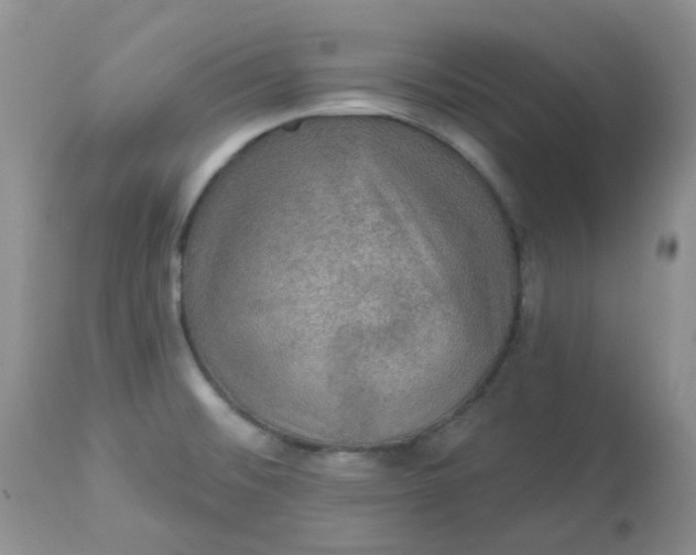 X0000113571476200910091427