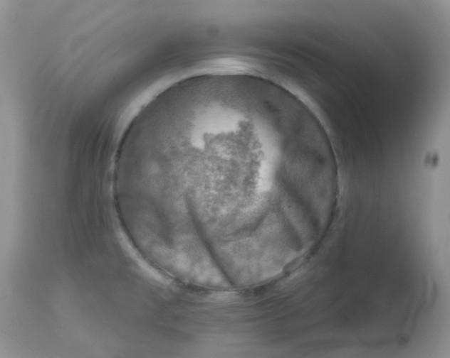 X0000113571477200910091427