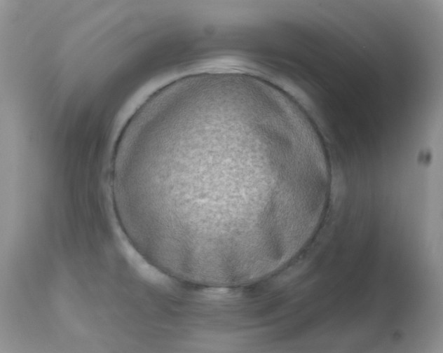 X0000113571478200910091427