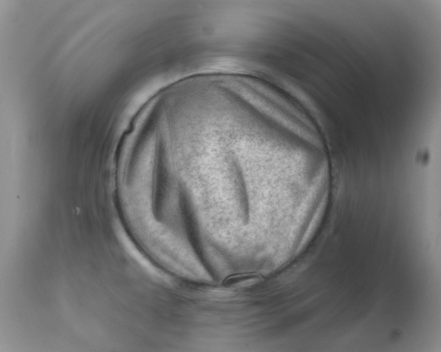 X0000113571479200910091427