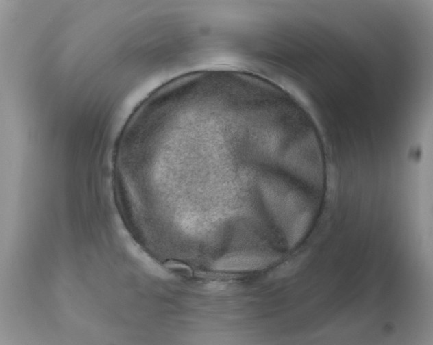 X0000113571480200910091427