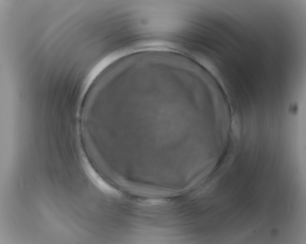 X0000113571482200910091427