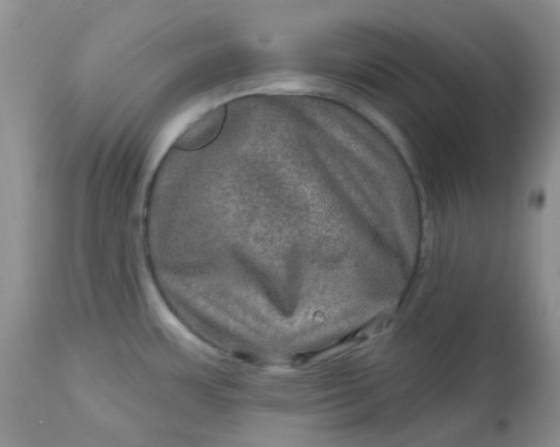 X0000113571483200910091427