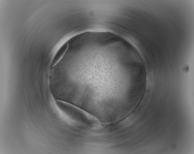 X0000113571484200910091427