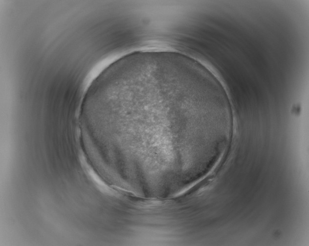 X0000113571485200910091427