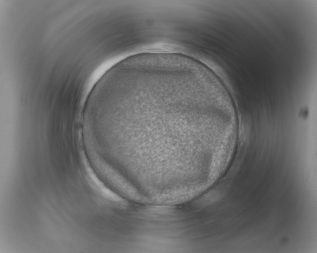 X0000113571486200910091427