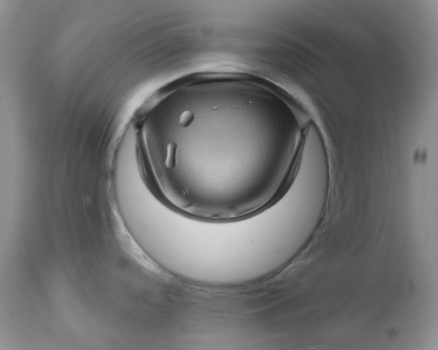 X0000113571488200910091427