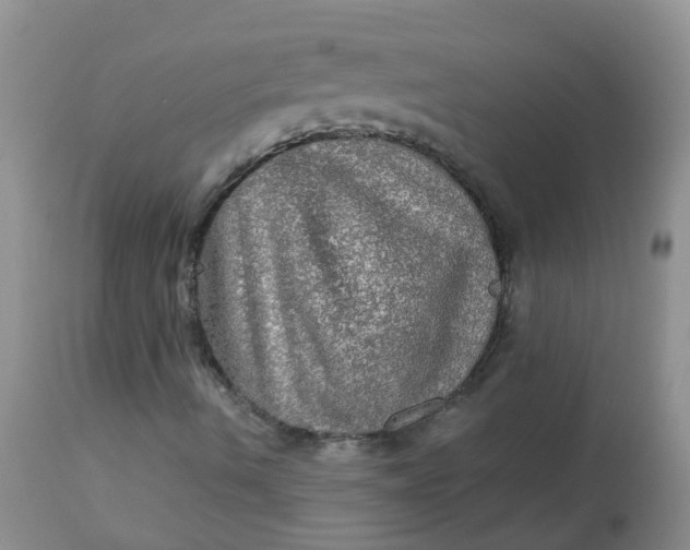 X0000113571490200910091426