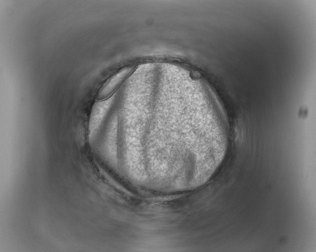 X0000113571493200910091426