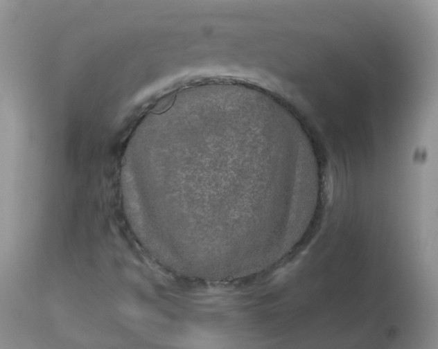 X0000113571494200910091426