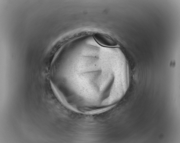 X0000113571495200910091426