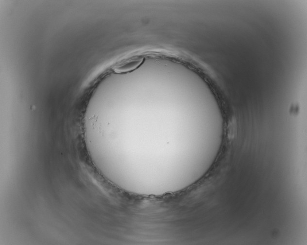 X0000113571496200910091426