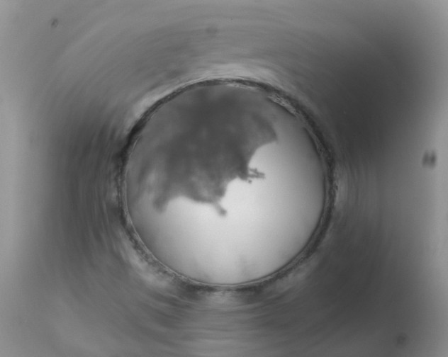 X0000113571497200910091426