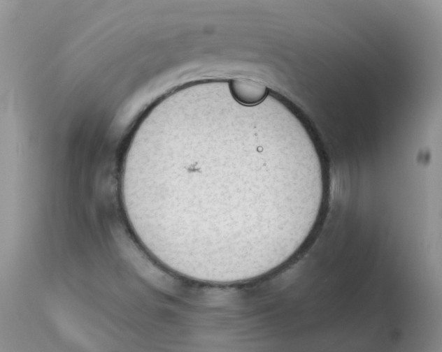 X0000113571498200910091426