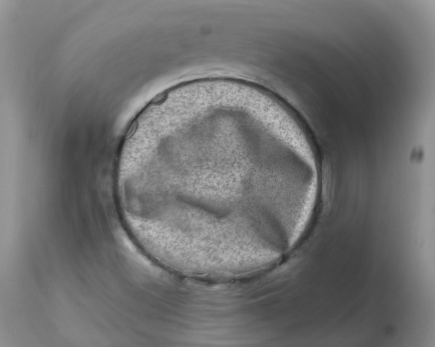 X0000113571500200910091426