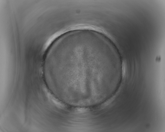 X0000113571501200910091426