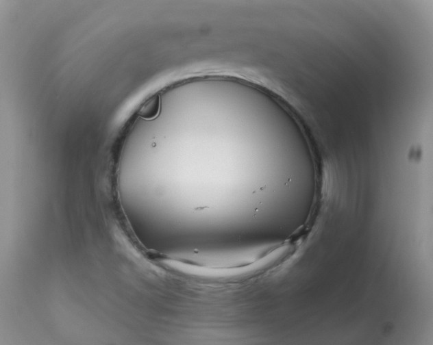 X0000113571502200910091426