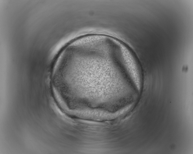 X0000113571503200910091426