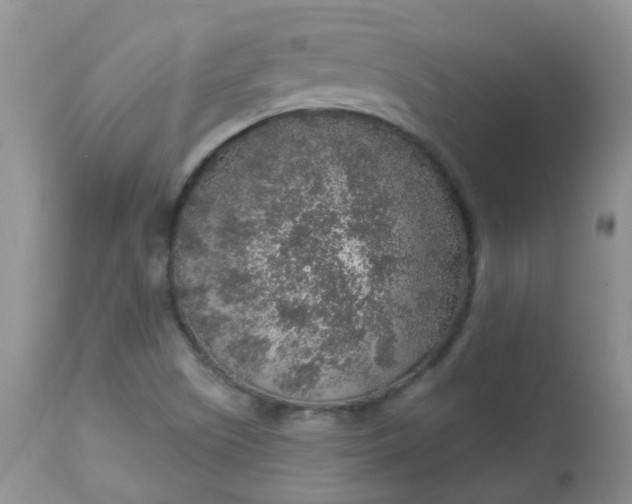 X0000113571505200910091426