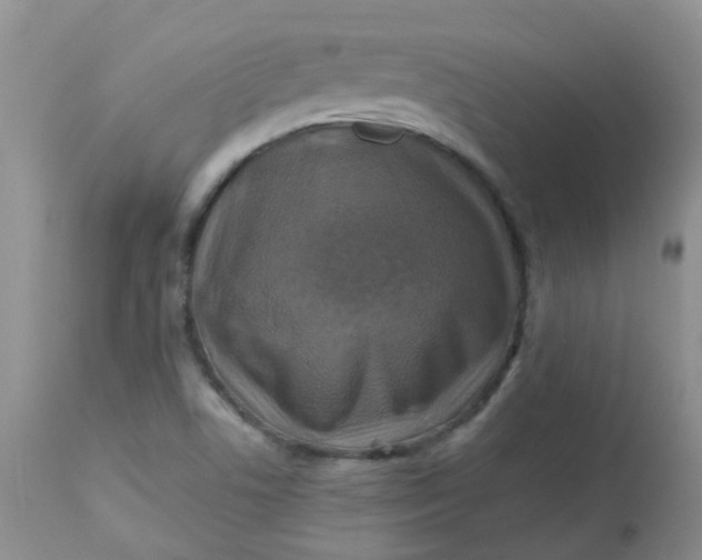 X0000113571506200910091426