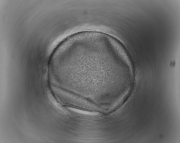 X0000113571507200910091426