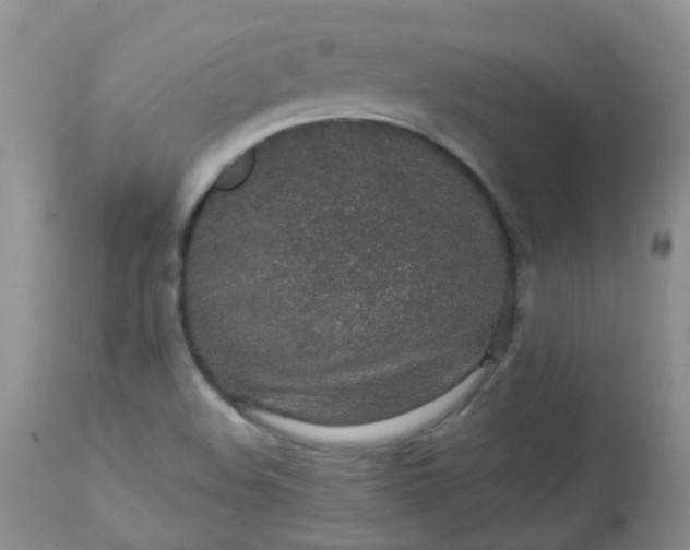 X0000113571508200910091426