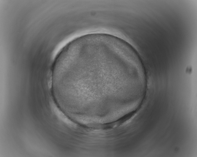 X0000113571510200910091426