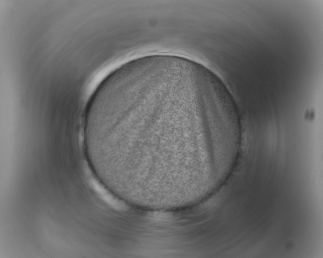 X0000113571511200910091426