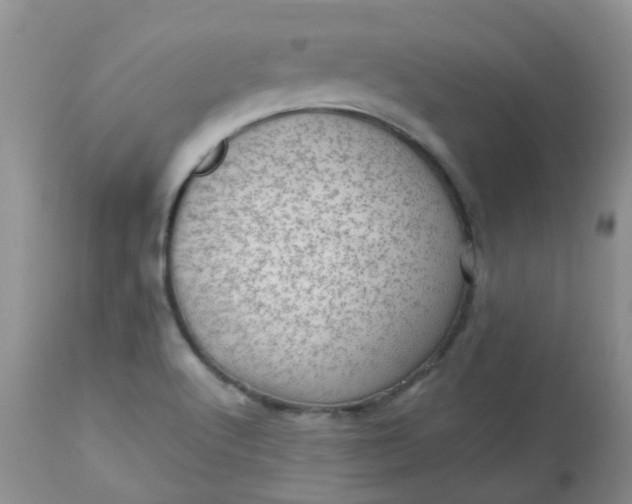 X0000113571512200910091426