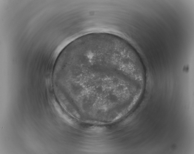 X0000113571513200910091426