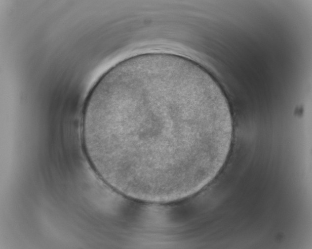 X0000113571514200910091426