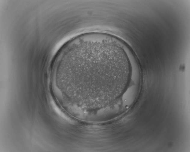 X0000113571515200910091426