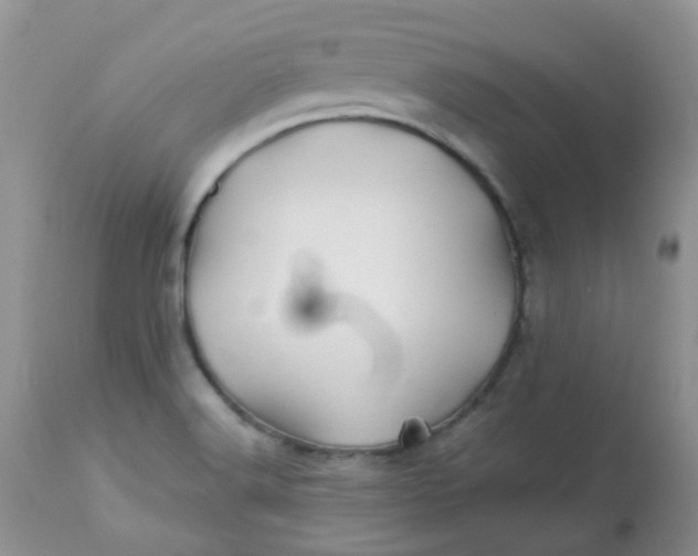 X0000113571516200910091426