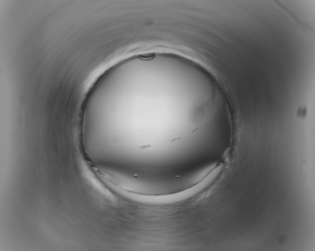 X0000113571518200910091426