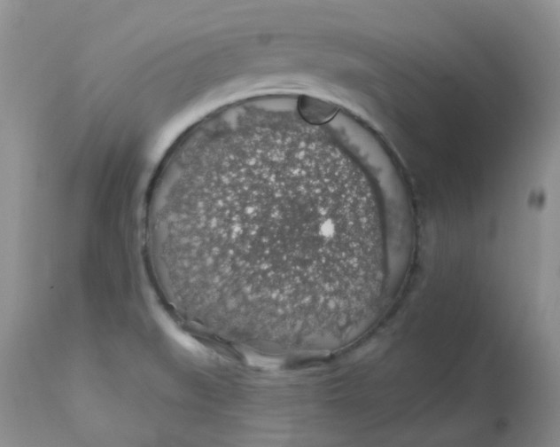 X0000113571519200910091426