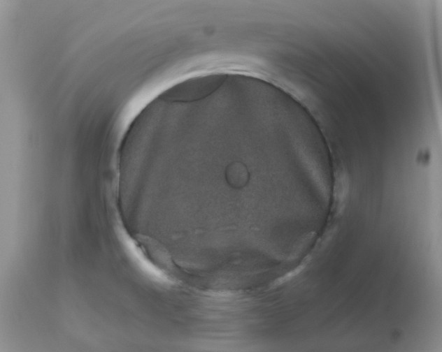 X0000113571520200910091426