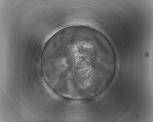 X0000113571521200910091426