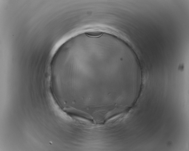 X0000113571522200910091426