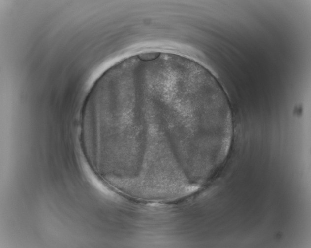 X0000113571523200910091427