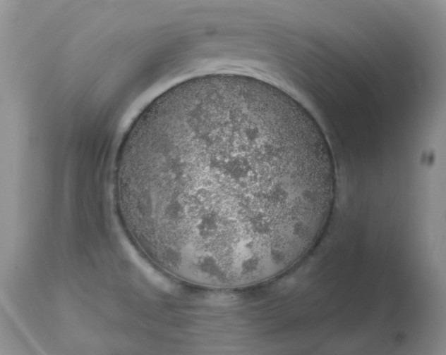 X0000113571525200910091427