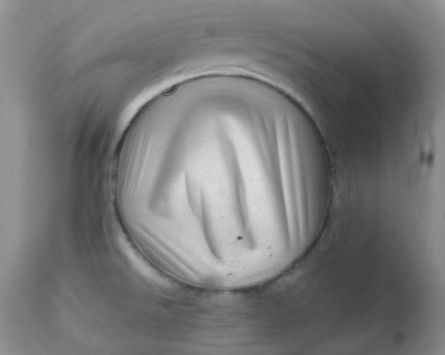 X0000113571526200910091427