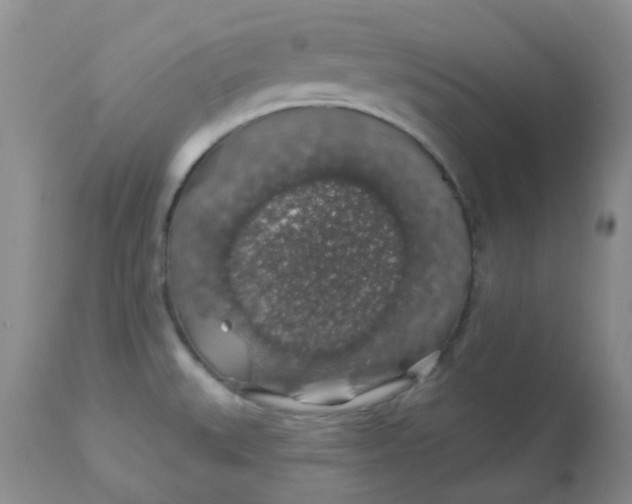 X0000113571527200910091427