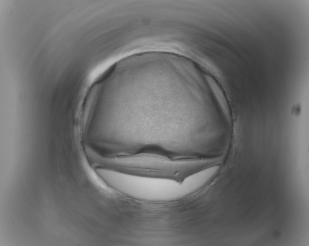 X0000113571528200910091427