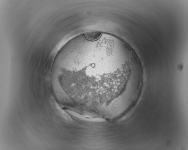 X0000113571529200910091427