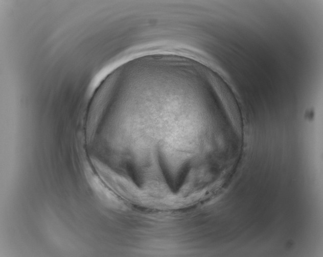 X0000113571530200910091427