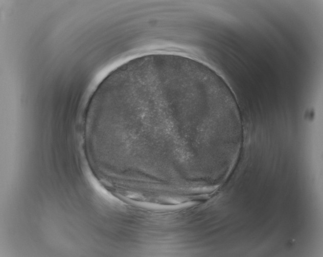 X0000113571531200910091427