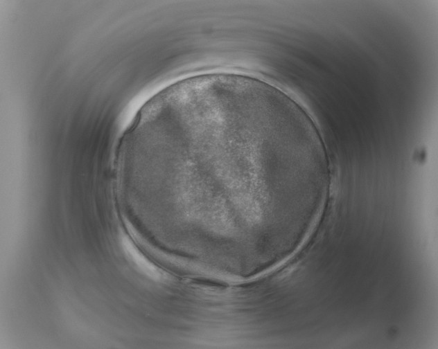 X0000113571532200910091427