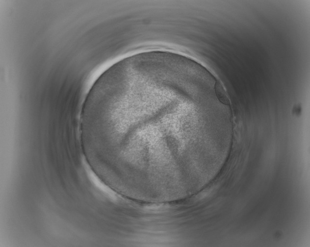 X0000113571535200910091427