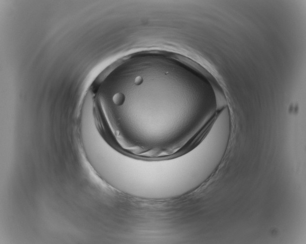 X0000113571536200910091427